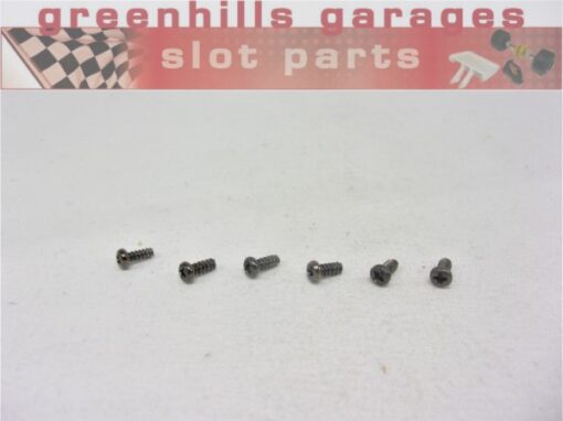 Greenhills Carrera Evolution Body Fastening Screws x6 -Used- P8482**