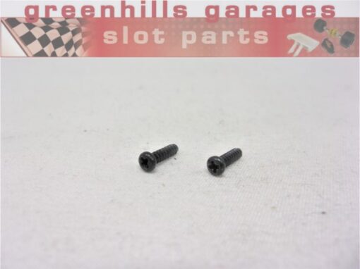 Greenhills Scalextric VW Beetle New Style Screw Set (2) -Used- P8499**